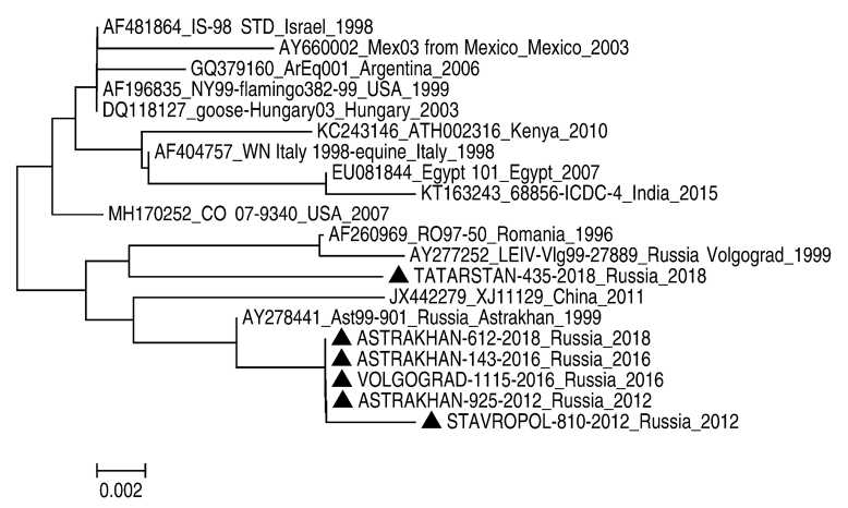 Molecular genetic analysis of West Nile virus variants circulating in European Russia between 2010 and 2019
