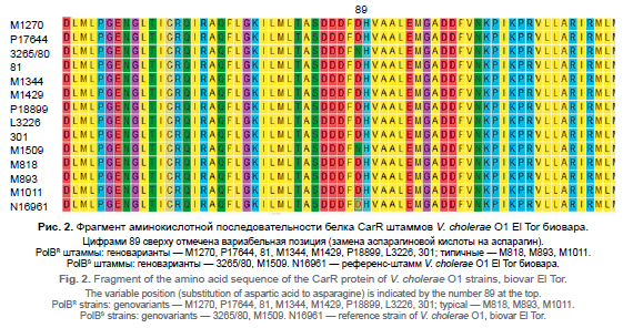 Identification of <i>Vibrio cholerae</i> O1 strains of the El Tor biovar sensitive to polymyxin B and their molecular genetic analysis