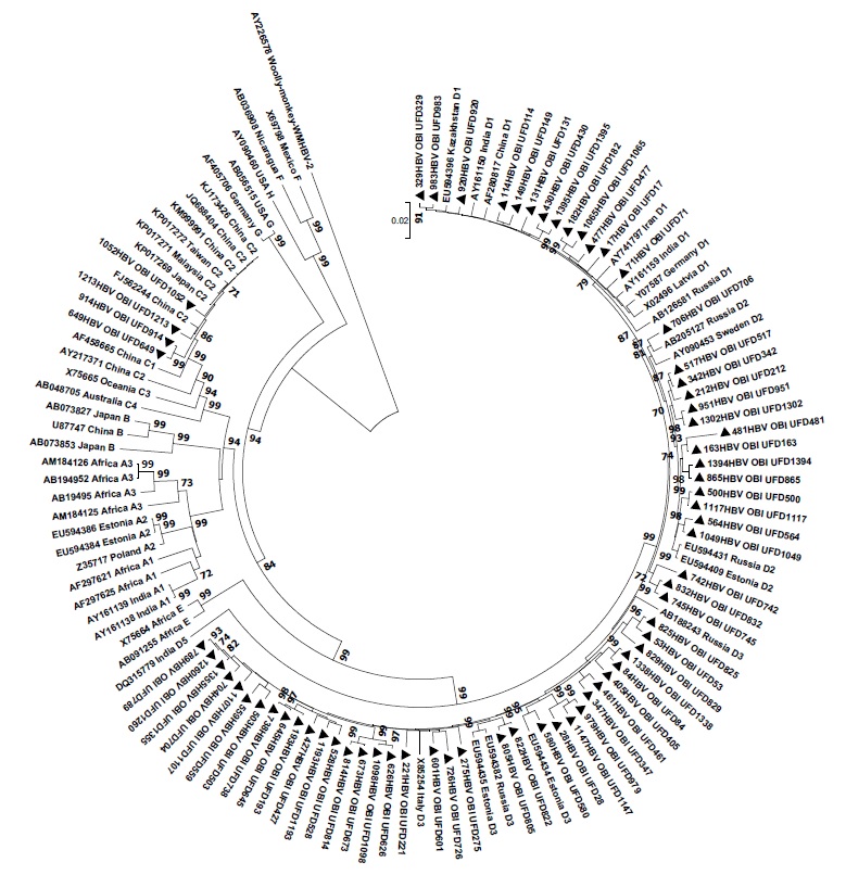 Molecular and genetic characterization of the hepatitis B virus full-length genome sequences identified in HBsAg-negative blood donors in Ural Federal District