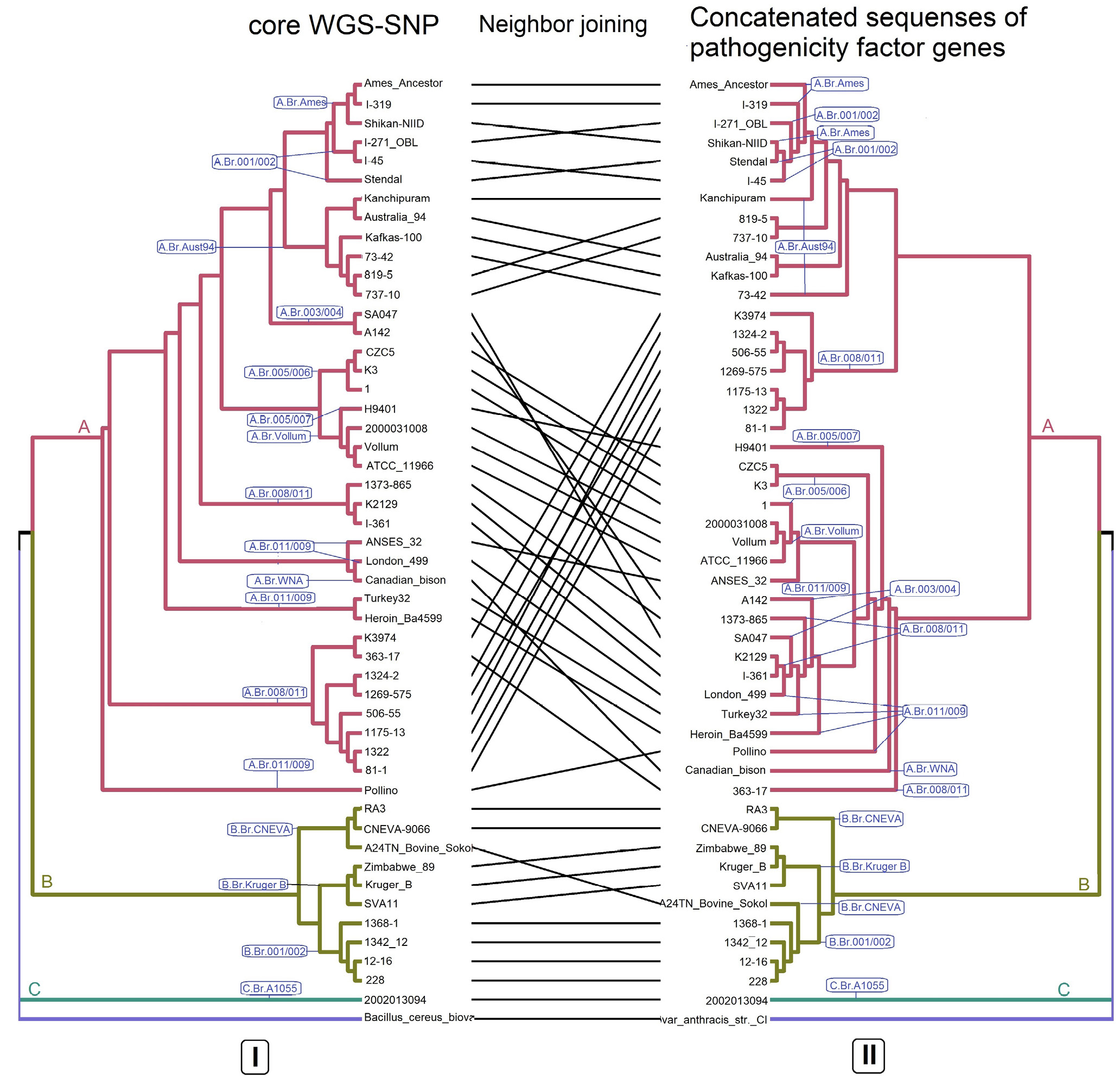 <i>In silico</i> analysis of genomes of Bacillus anthracis strains belonging to major genetic lineages
