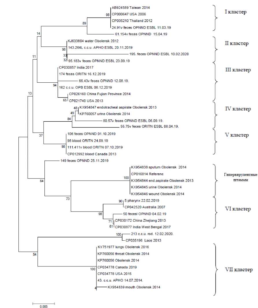 The relatedness of <i>Klebsiella pneumoniae</i> strains based on phylogenetic analysis of <i>uge</i> and <i>fim</i> genes