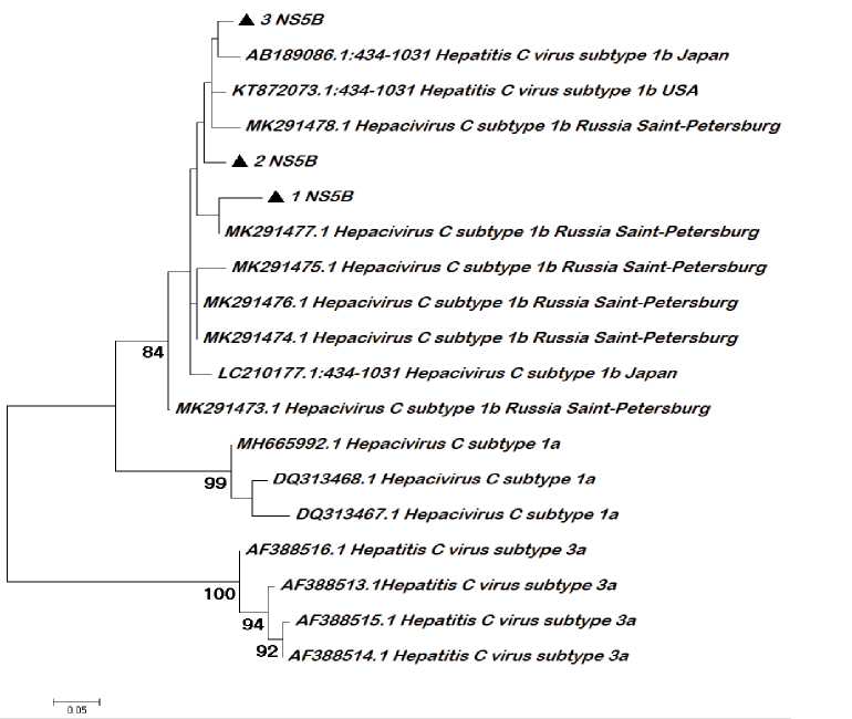 Detection of drug resistance mutations of hepatitis C virus in patients with failure of the treatment with direct acting antivirals